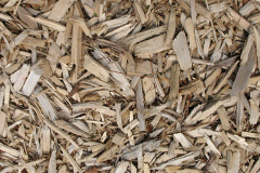 biomass boilers Allaston